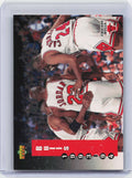 1993-94 Upper Deck #213 Chicago Bulls